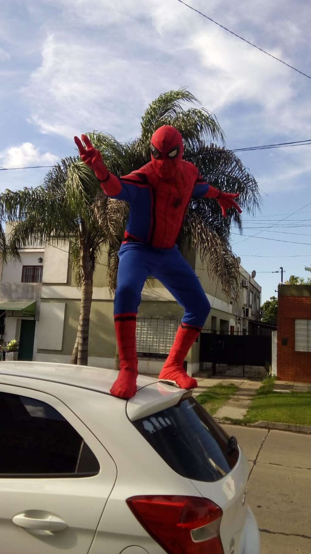 Show de hombre araña para tu cumple